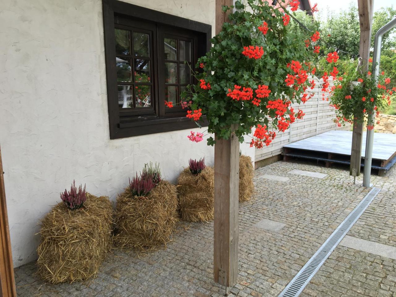 Stajnia Bialy Borek Biskupice Kocurów Exterior foto